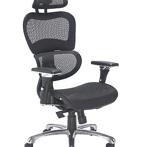 Chachi Ergonomic Office Chair