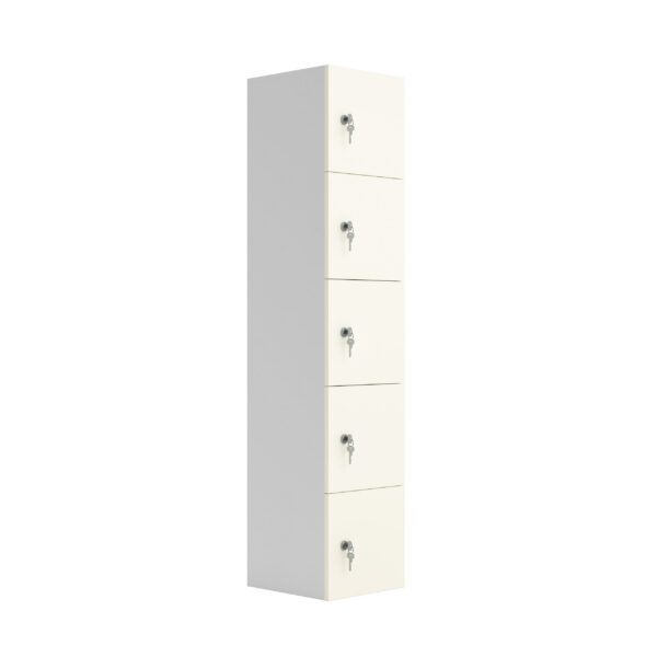 Five Door Unit Complete With Shelf, Coat Hooks, Cam Lock